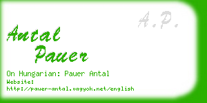 antal pauer business card